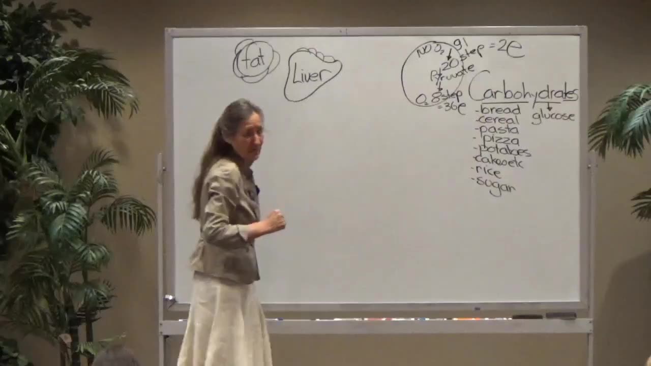 Barbara O’Neill-Detoxification and The Liver Part 1