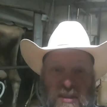 Farmer gives epic response to Ana Navarro saying that milking cows is god-awful work