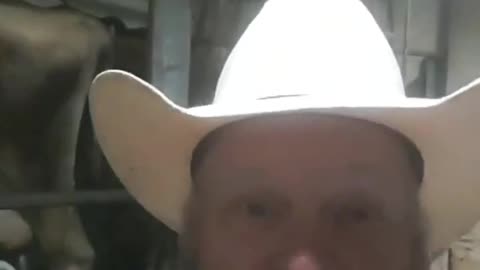Farmer gives epic response to Ana Navarro saying that milking cows is god-awful work