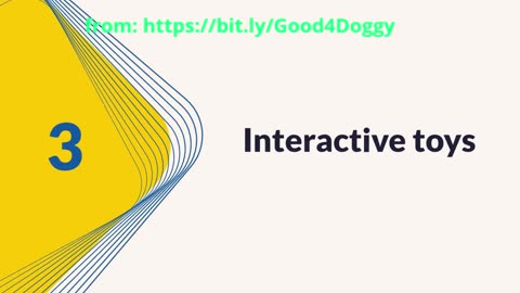 Avoid Rookie Mistakes—Essential Dog Gear Every New Owner Should Have