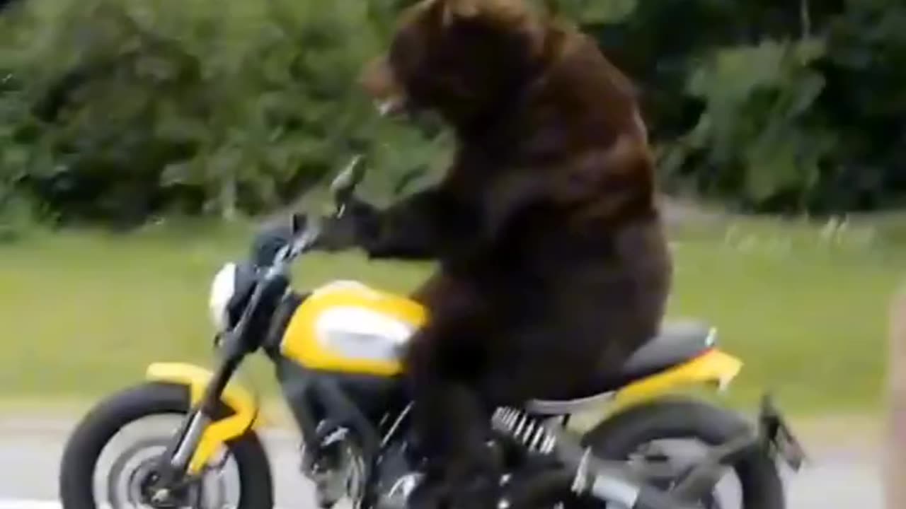 Normal day in Russia 😂