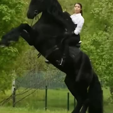 Top Videos You Have to See to Believe 💯 2026