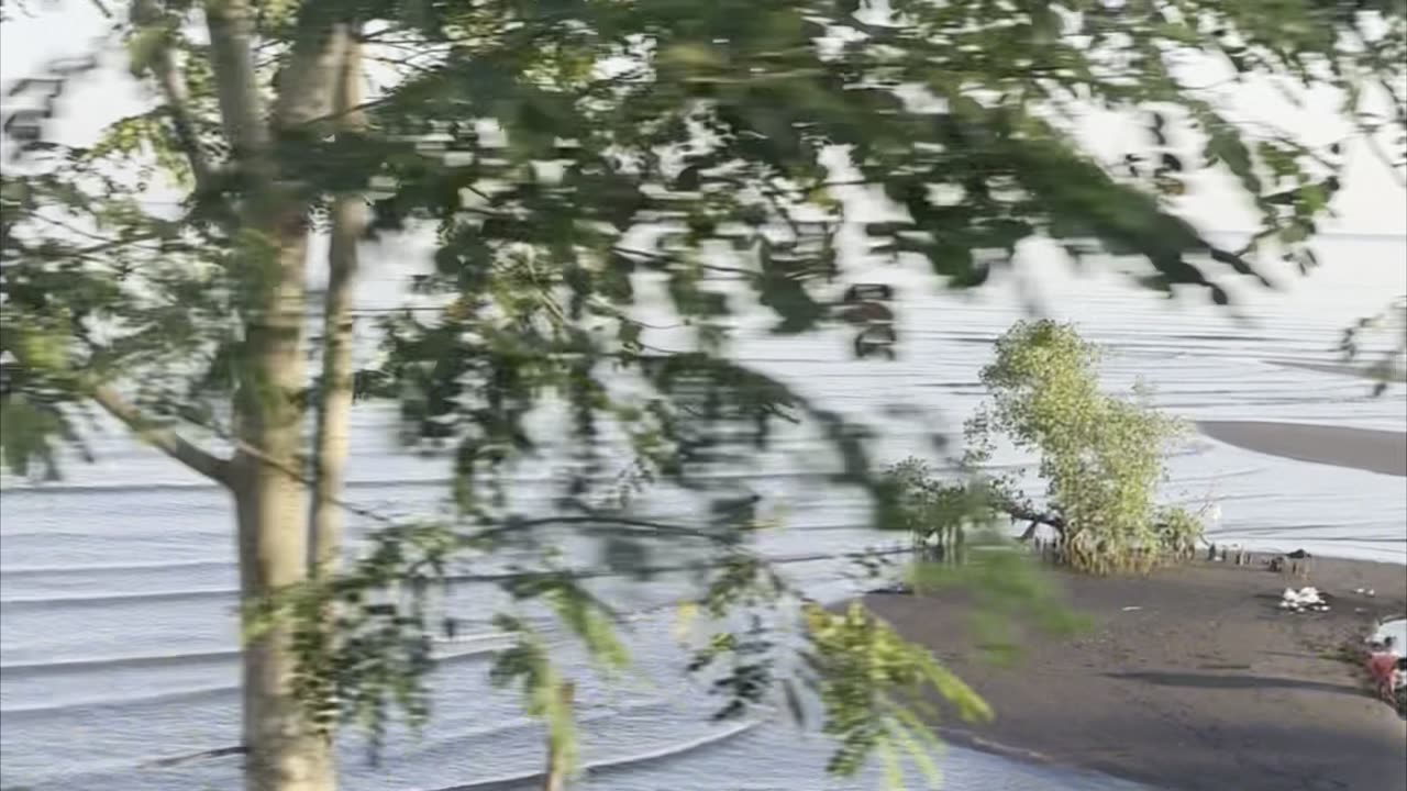 Driving Along the Coast | Endless Views of the Mesmerizing Sea
