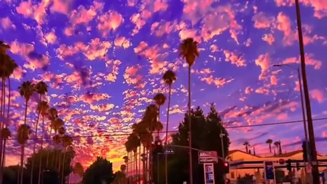 Paradaise