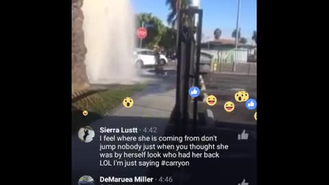 Real Life Bumper Cars. Women Get Jump, Tries To Run Over People.