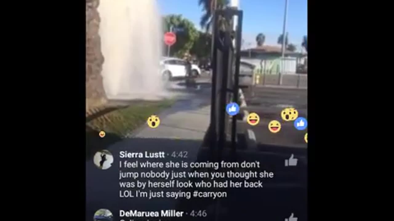 Real Life Bumper Cars. Women Get Jump, Tries To Run Over People.