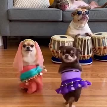 Big Bubba always Chilling on da couch