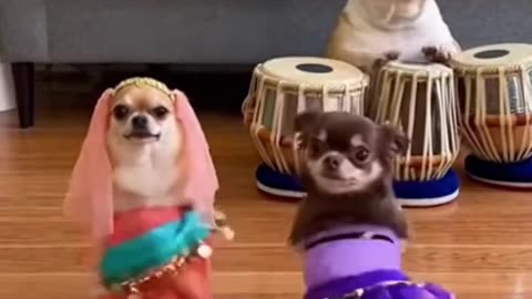 Big Bubba always Chilling on da couch