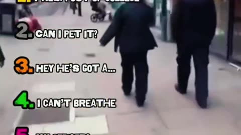 Ranking the funniest police