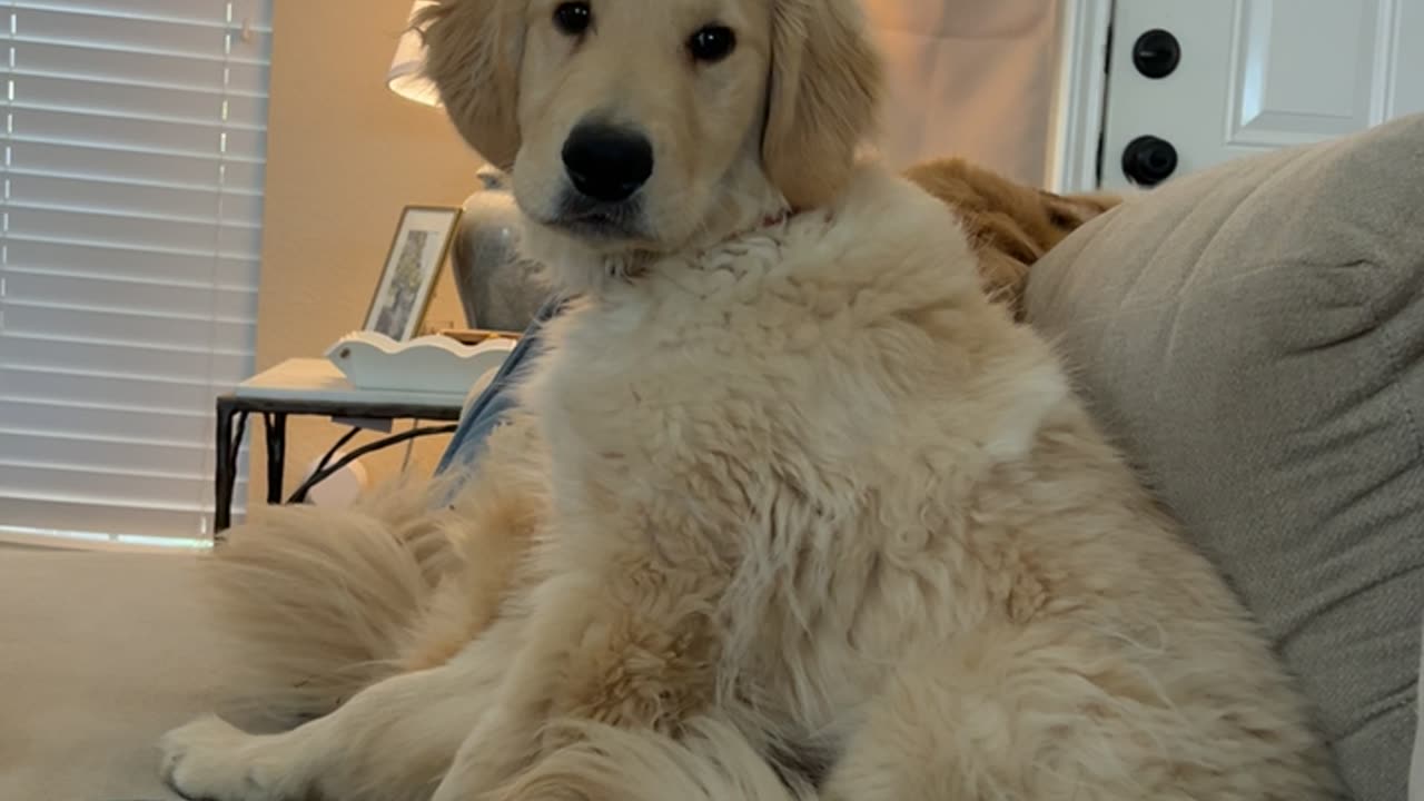 Nobody Takes Teddy’s Spot