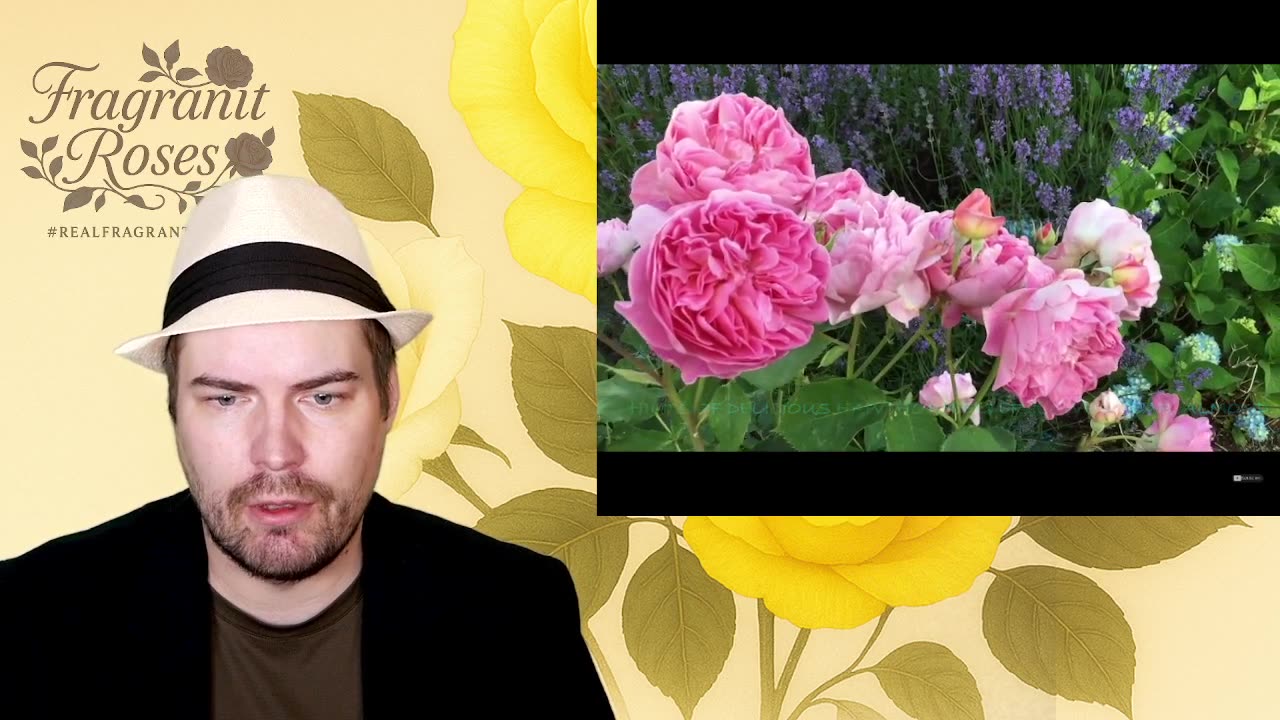 Reacting to Issha Green Thumb’s Top 10 Fragrant English Roses 🌸