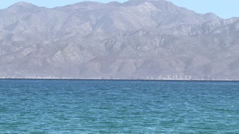 Cambios Instantáneos y Salud La Inteligencia Emocional como Clave para Adaptarse y Prosperar