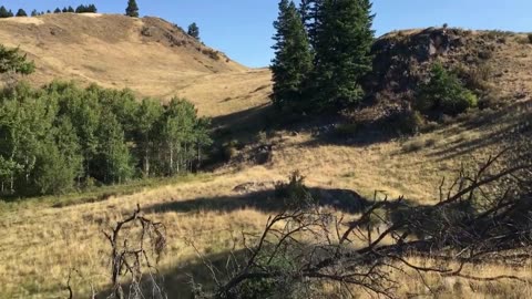 Father/Daughters Mule deer hunting. Opening weekend