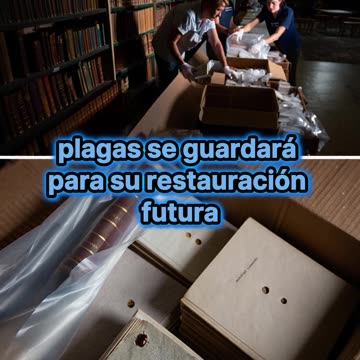 100000 libros en peligro: biblioteca húngara enfrenta plaga devastador