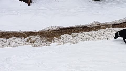 Flash Flood in the Snow