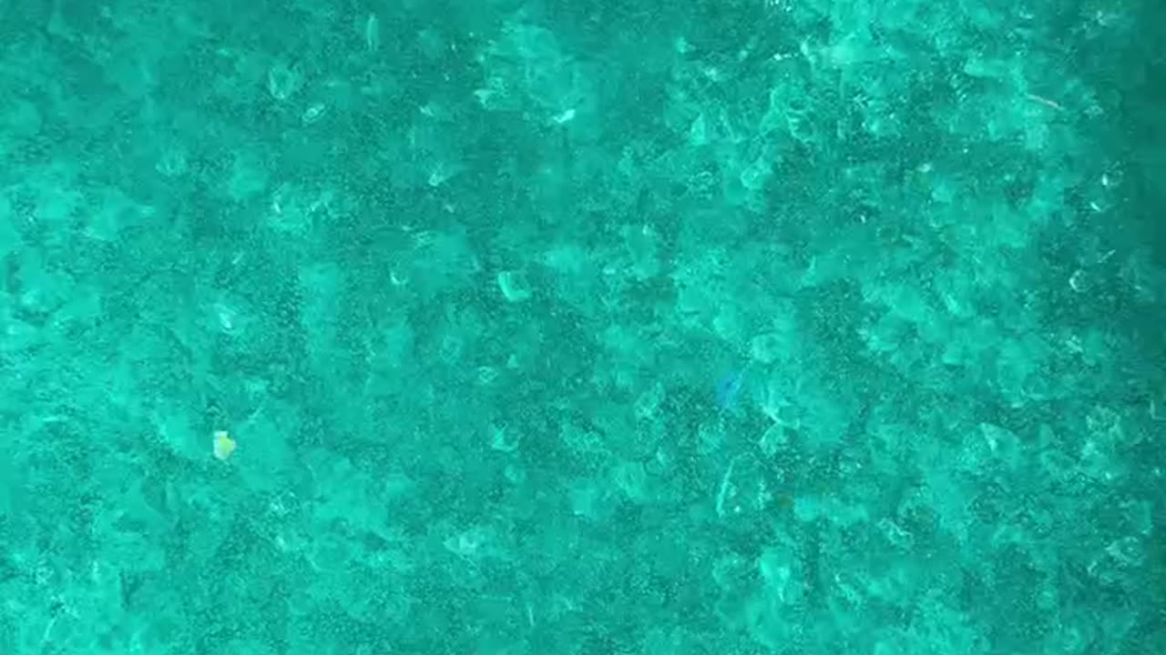 SATISFYING ITALY SLIME SCOOPS ASMR 🇮🇹