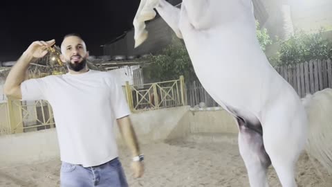 تبارك الله