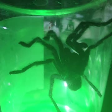 This guy rolled up right on us last night