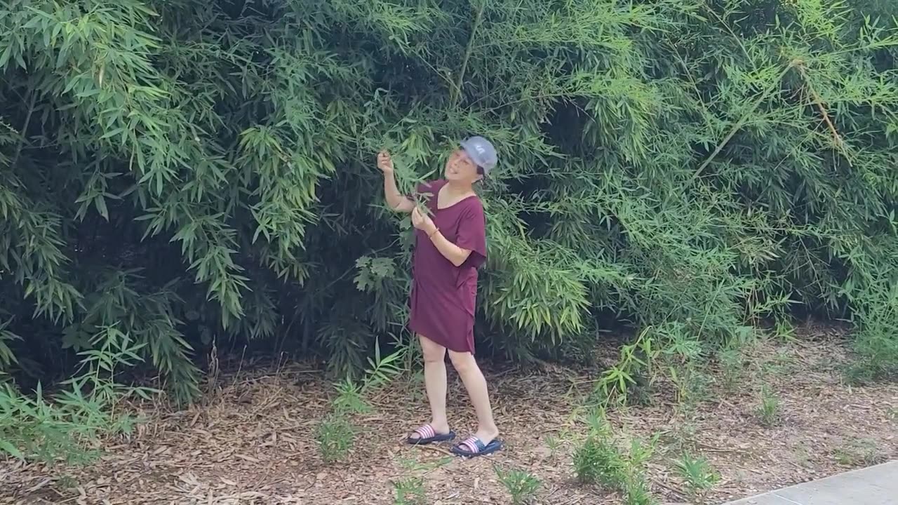 BUỔI SÁNG VÀO RỪNG!