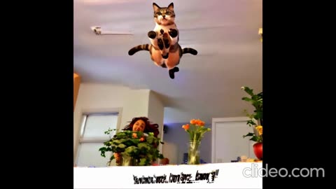 100 hinos pra dormir a noite - Made with Clipchamp.mp4
