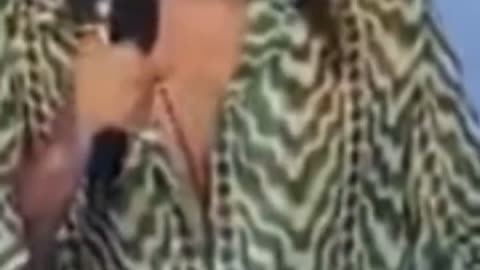 Russell Brand Charged