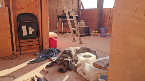 Moving off-grid to be "lazy"????