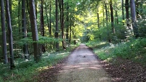 A culture of doing rather than a culture of being