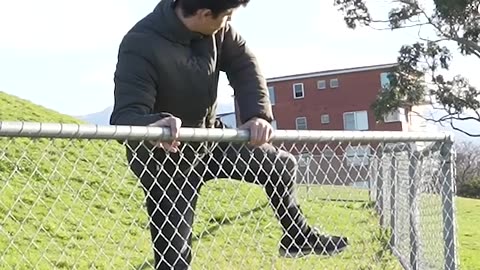 How Animals Get Over a Fence (With Emojis)