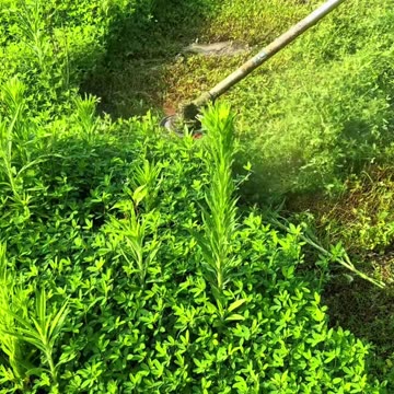 मन को शांति और सुकून देंगी ये बातें