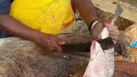 SELVAM FISH 🐟 CUTTING VIDEO