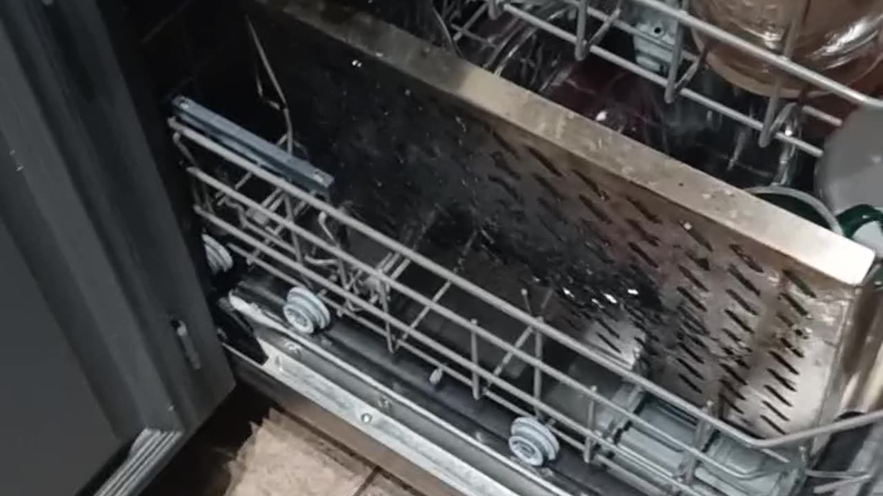 Ella at 9 years old repairing our Dishwasher.