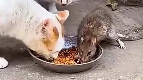 لحظات تکرارنشدنی