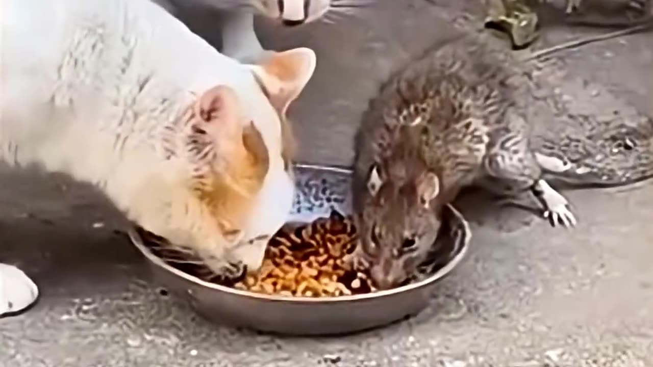 لحظات تکرارنشدنی