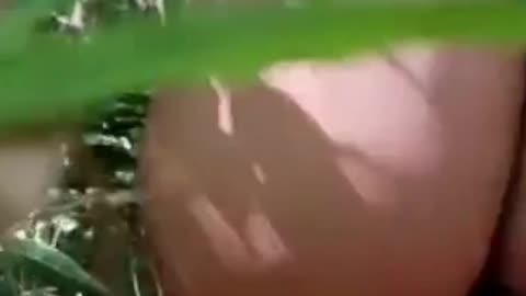 Nature’s Harmony: Beautiful Girl Practicing Yoga by a Peaceful Stream
