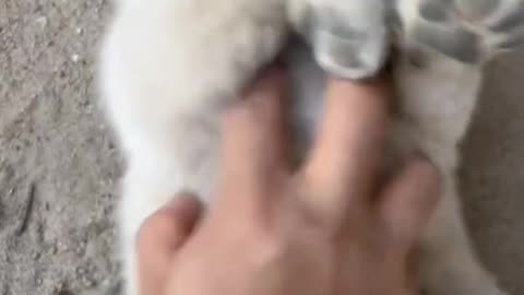?