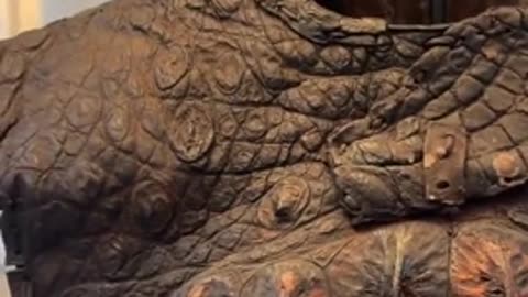 Crocodile suit of Armor from Roman Egypt