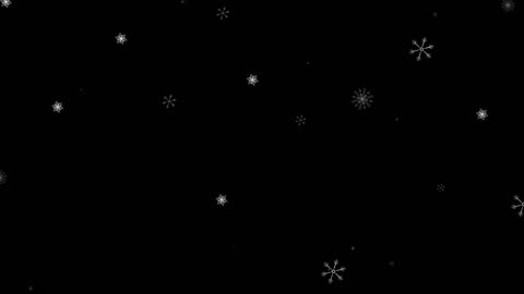 (121) Executions in 2025