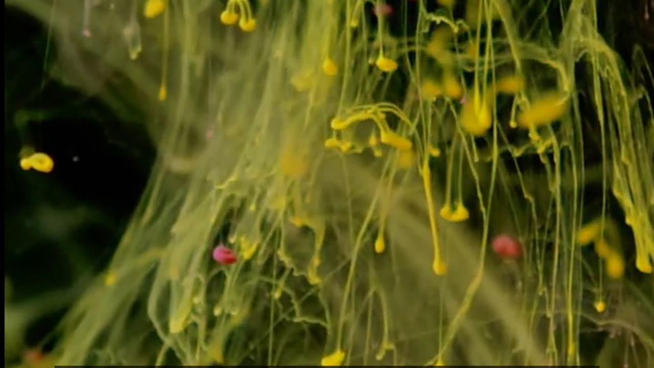 Daily Horoscope | Gemini 🌟