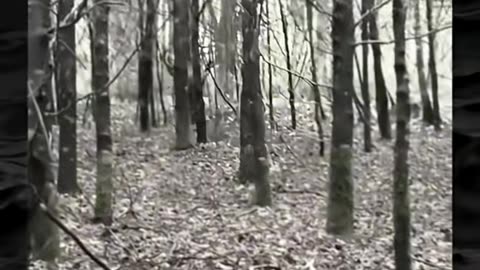 😨👻 Terrifying Paranormal Encounter Caught on Camera! | TheHauntingHour