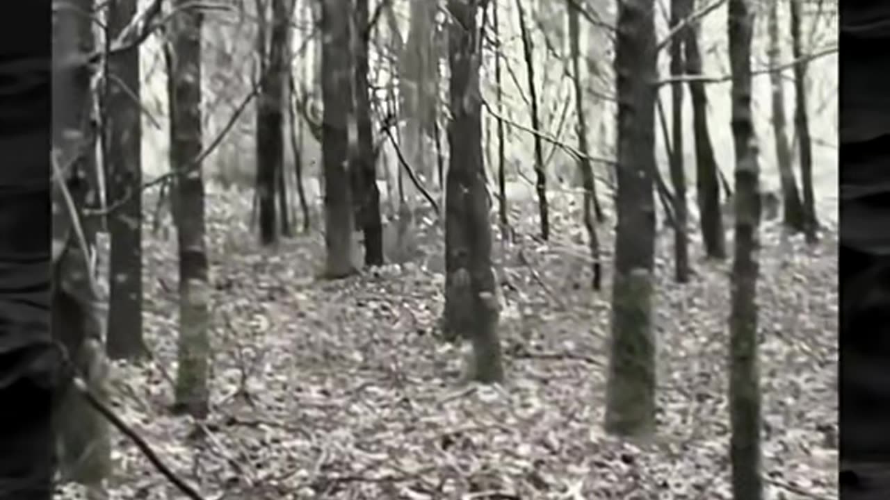 😨👻 Terrifying Paranormal Encounter Caught on Camera! | TheHauntingHour