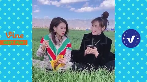 best funny videos of 2025 1 hour