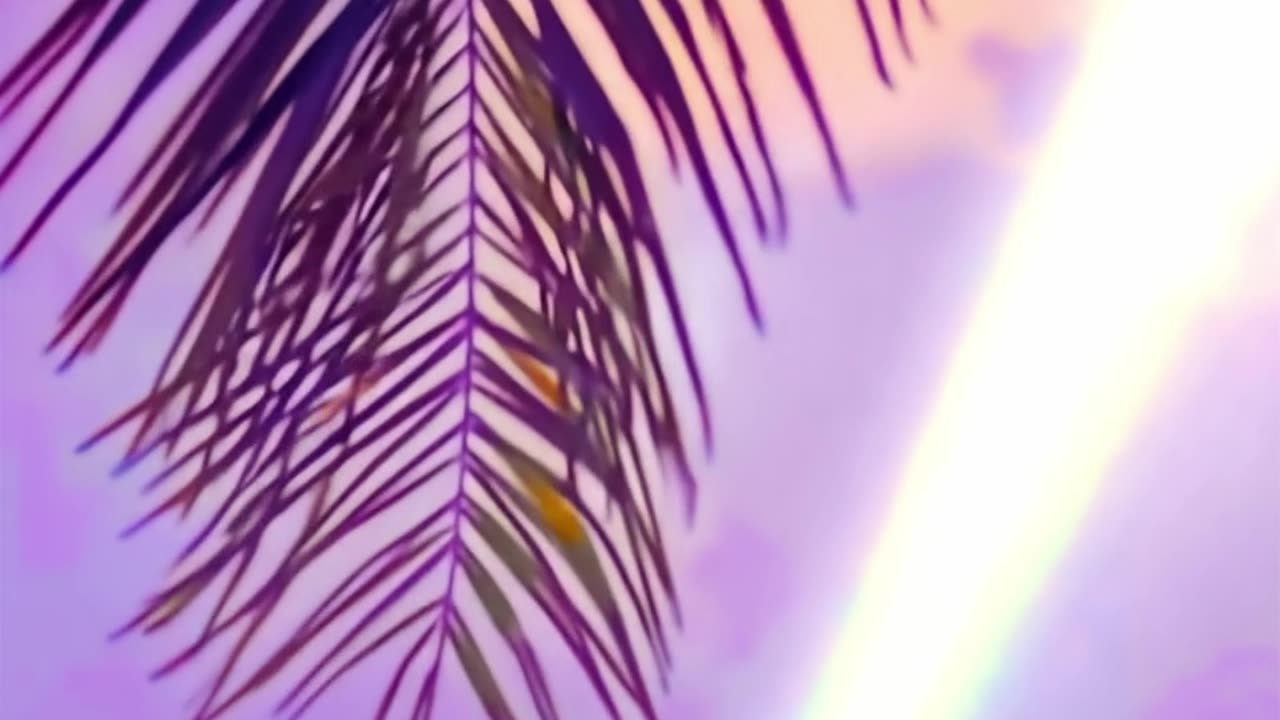 WAV - Succession To Long