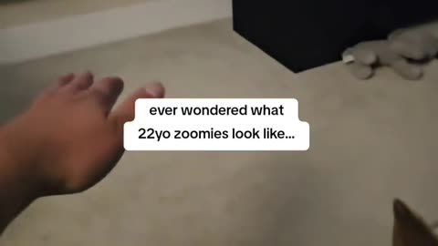 22 Year Old Dog Has Joyful Zoomies