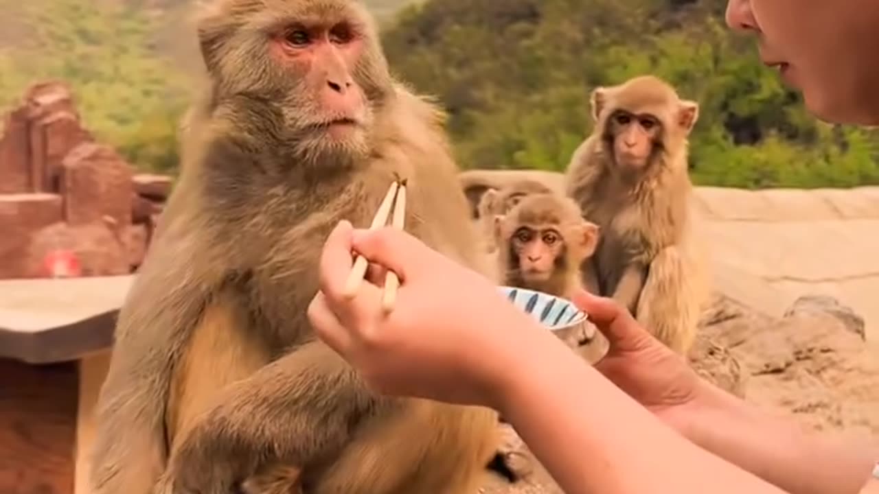 🤣🤣🤣🤣