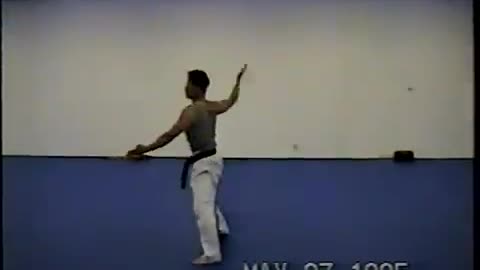 Hapkido