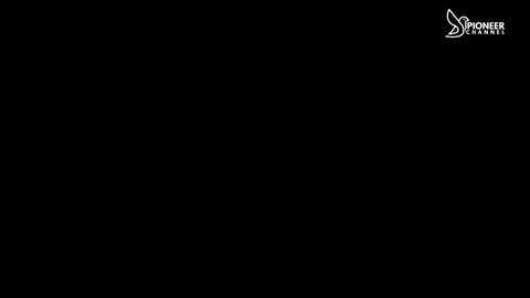 Pioneer Channel LIVE