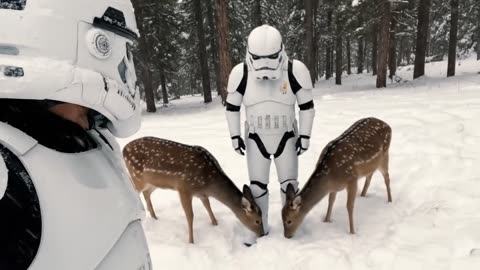 Stormtroopers en busca de un objetivo! reconocimiento en la tierra | stormtroopers vlogs