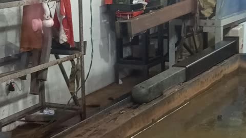 Plastic Lumber coming out from Extrusion