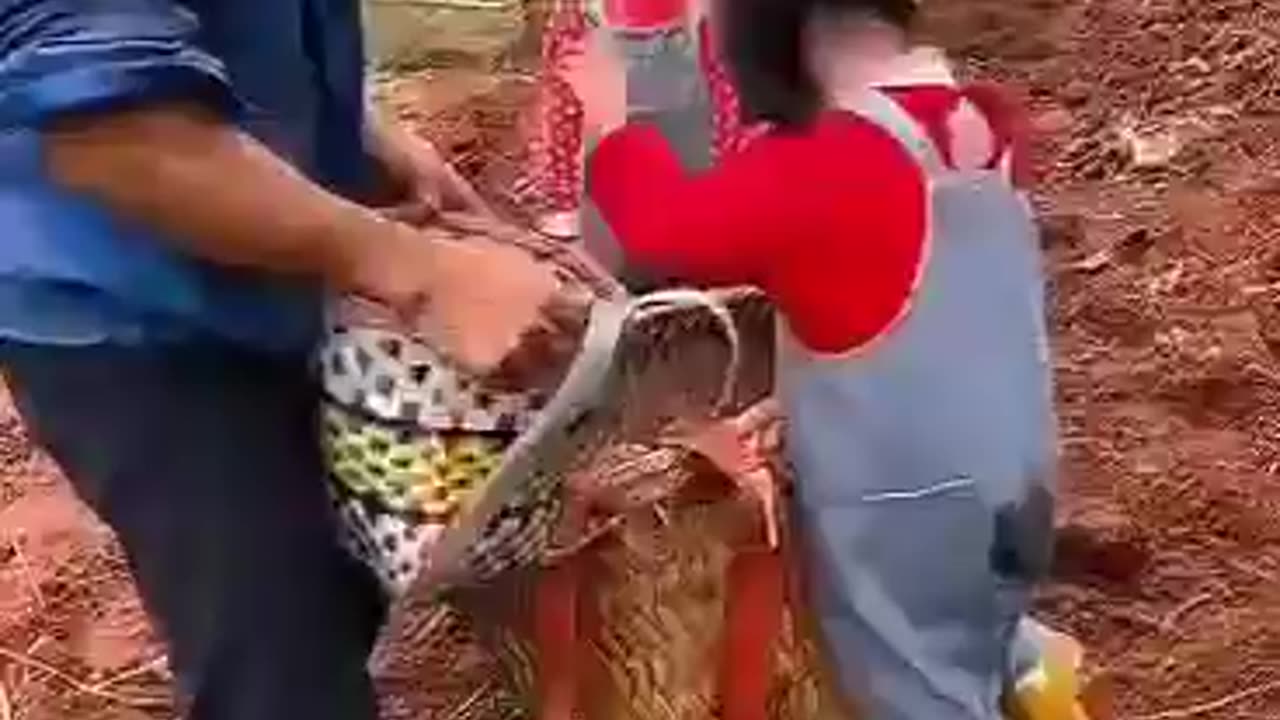 family bonding, caring for each other