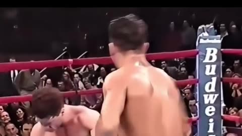 BRUTAL KO In history boxing!